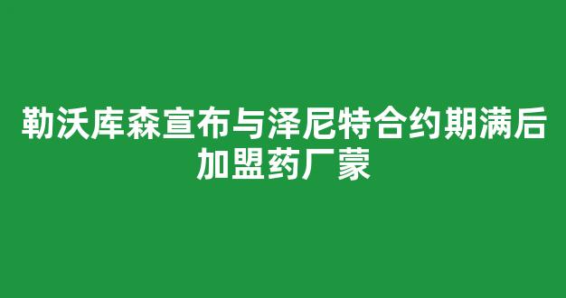 勒沃库森宣布与泽尼特合约期满后加盟药厂蒙