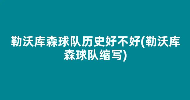 勒沃库森球队历史好不好(勒沃库森球队缩写)