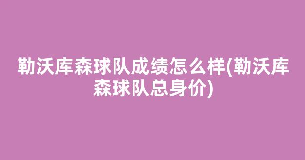 勒沃库森球队成绩怎么样(勒沃库森球队总身价)