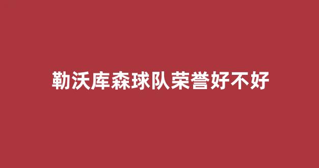 勒沃库森球队荣誉好不好