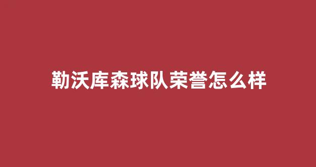 勒沃库森球队荣誉怎么样