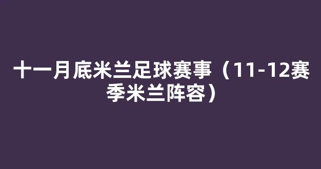 十一月底米兰足球赛事（11-12赛季米兰阵容）