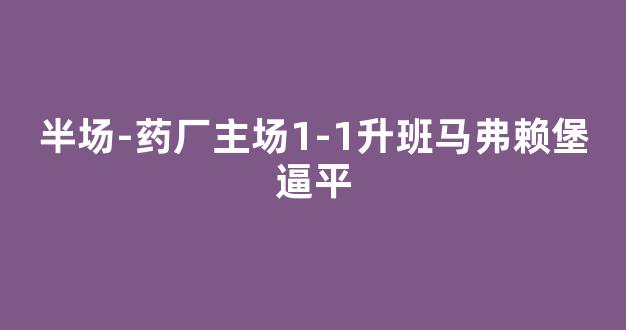 半场-药厂主场1-1升班马弗赖堡逼平