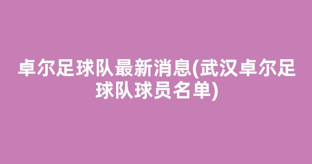 卓尔足球队最新消息(武汉卓尔足球队球员名单)