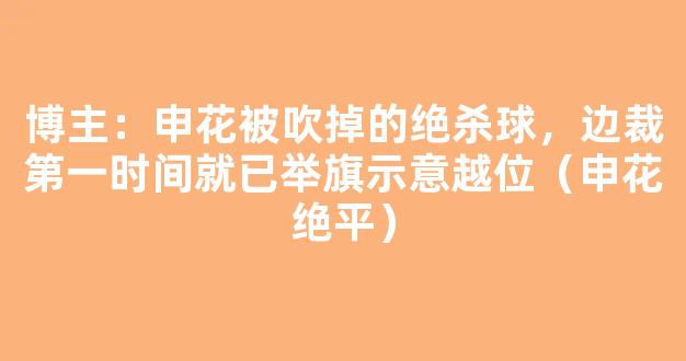 博主：申花被吹掉的绝杀球，边裁第一时间就已举旗示意越位（申花绝平）