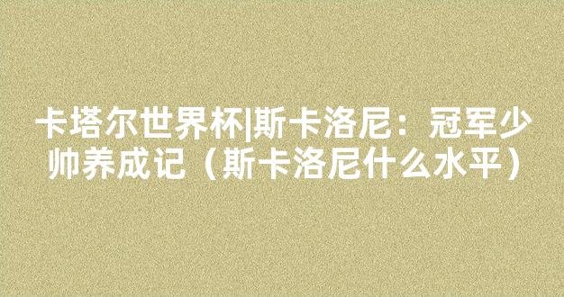 卡塔尔世界杯|斯卡洛尼：冠军少帅养成记（斯卡洛尼什么水平）