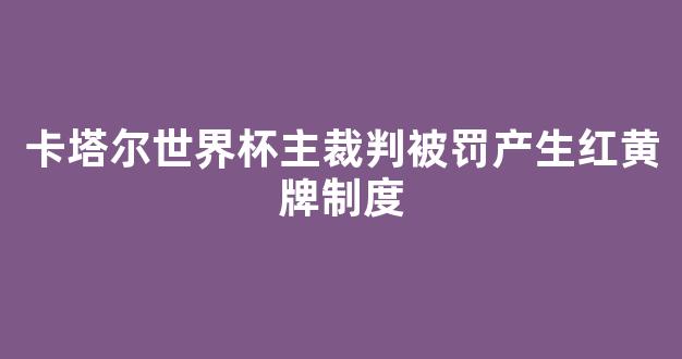 卡塔尔世界杯主裁判被罚产生红黄牌制度