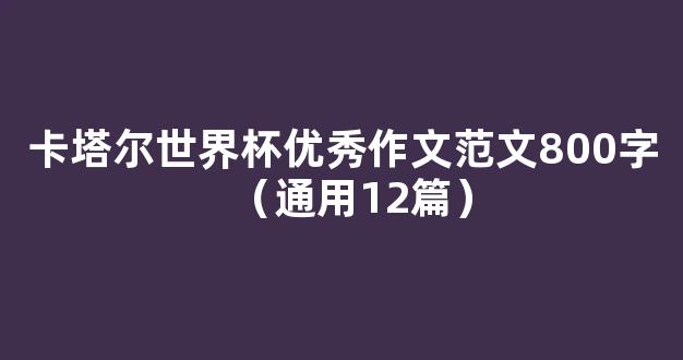 卡塔尔世界杯优秀作文范文800字（通用12篇）