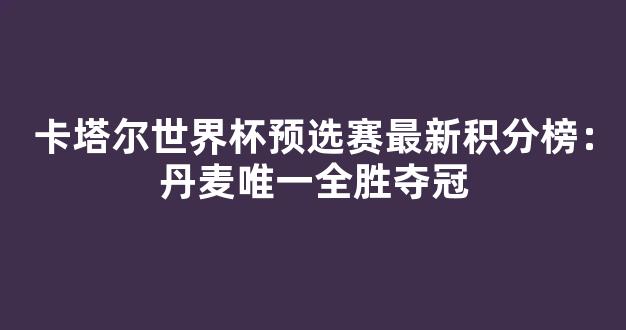 卡塔尔世界杯预选赛最新积分榜：丹麦唯一全胜夺冠