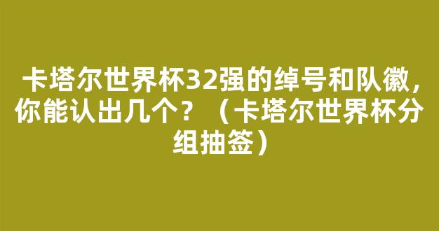 卡塔尔世界杯32强的绰号和队徽，你能认出几个？（卡塔尔世界杯分组抽签）