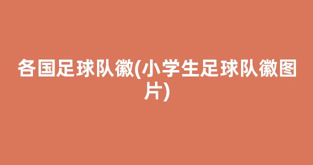 各国足球队徽(小学生足球队徽图片)