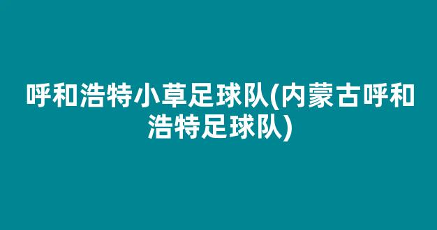 呼和浩特小草足球队(内蒙古呼和浩特足球队)