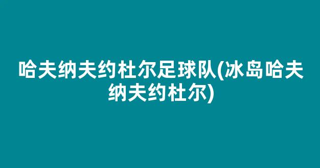 哈夫纳夫约杜尔足球队(冰岛哈夫纳夫约杜尔)