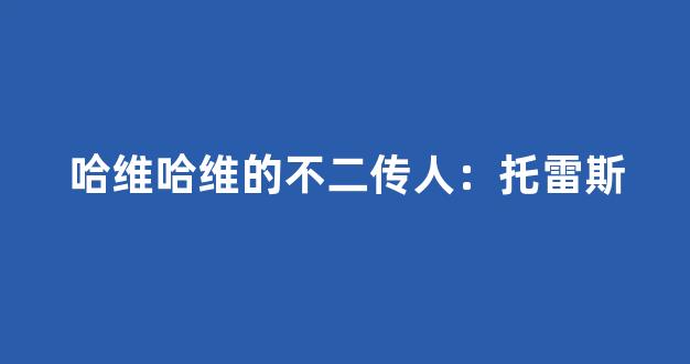 哈维哈维的不二传人：托雷斯