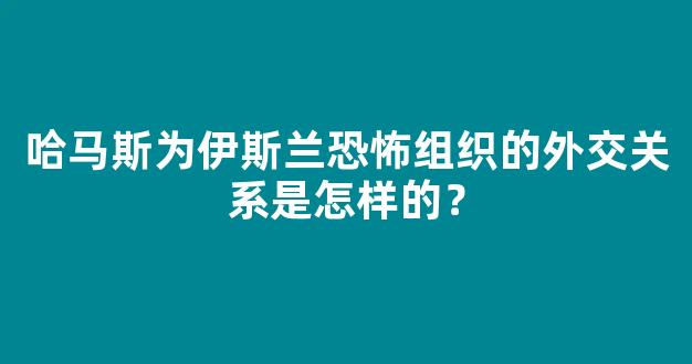 哈马斯为伊斯兰恐怖组织的外交关系是怎样的？