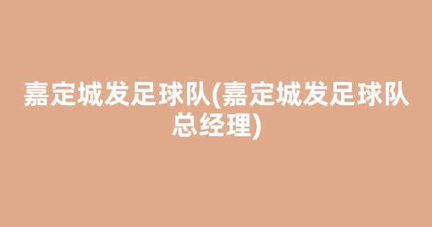 嘉定城发足球队(嘉定城发足球队总经理)