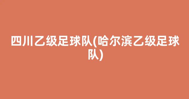 四川乙级足球队(哈尔滨乙级足球队)