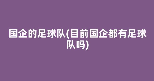 国企的足球队(目前国企都有足球队吗)