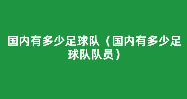 国内有多少足球队（国内有多少足球队队员）