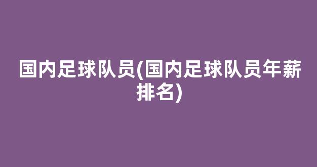 国内足球队员(国内足球队员年薪排名)