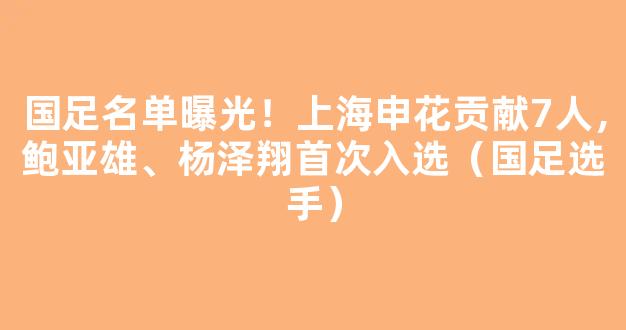 国足名单曝光！上海申花贡献7人，鲍亚雄、杨泽翔首次入选（国足选手）