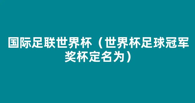 国际足联世界杯（世界杯足球冠军奖杯定名为）