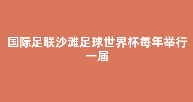 国际足联沙滩足球世界杯每年举行一届