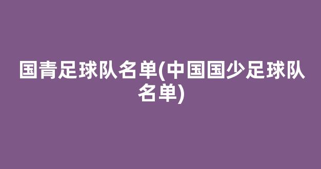 国青足球队名单(中国国少足球队名单)