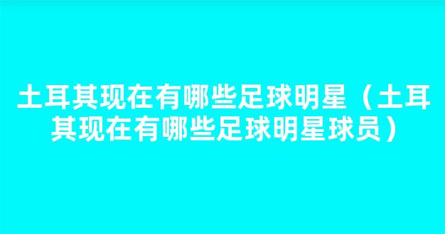 土耳其现在有哪些足球明星（土耳其现在有哪些足球明星球员）