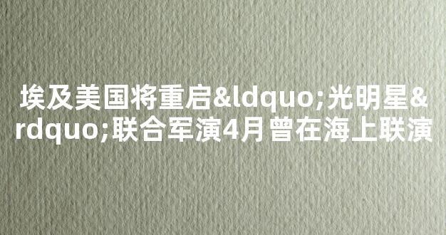 埃及美国将重启“光明星”联合军演4月曾在海上联演