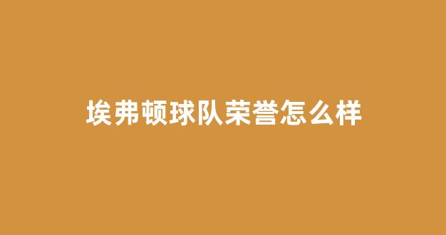 埃弗顿球队荣誉怎么样