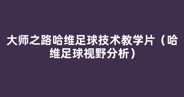 大师之路哈维足球技术教学片（哈维足球视野分析）