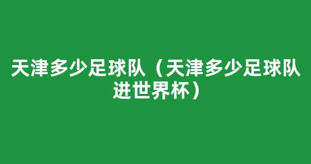 天津多少足球队（天津多少足球队进世界杯）