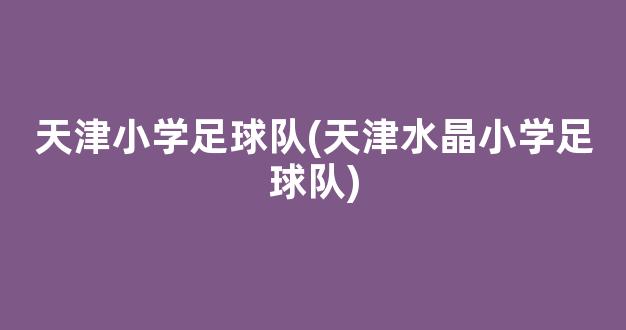 天津小学足球队(天津水晶小学足球队)