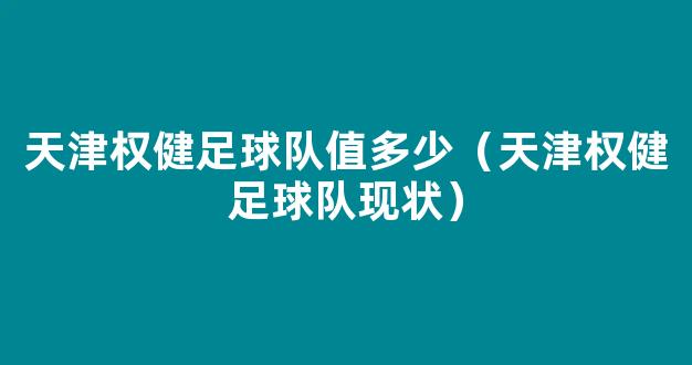 天津权健足球队值多少（天津权健足球队现状）