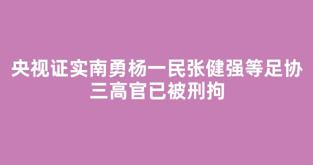 央视证实南勇杨一民张健强等足协三高官已被刑拘