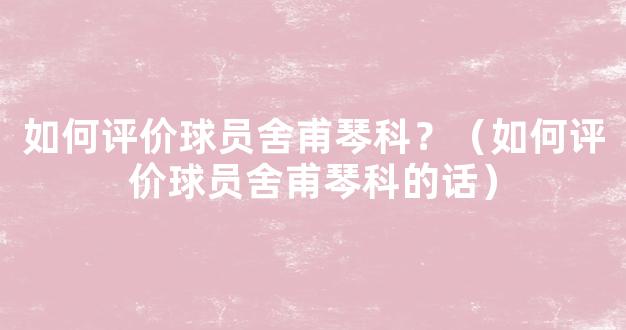 如何评价球员舍甫琴科？（如何评价球员舍甫琴科的话）