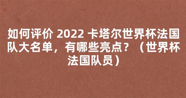 如何评价 2022 卡塔尔世界杯法国队大名单，有哪些亮点？（世界杯法国队员）