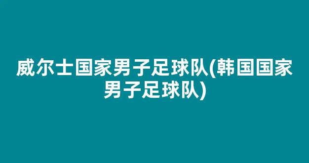 威尔士国家男子足球队(韩国国家男子足球队)