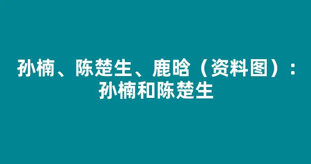 孙楠、陈楚生、鹿晗（资料图）：孙楠和陈楚生