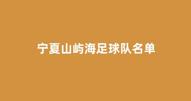 宁夏山屿海足球队名单