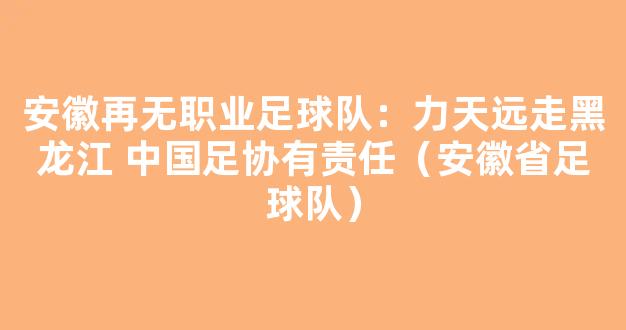 安徽再无职业足球队：力天远走黑龙江 中国足协有责任（安徽省足球队）