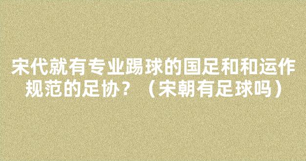 宋代就有专业踢球的国足和和运作规范的足协？（宋朝有足球吗）