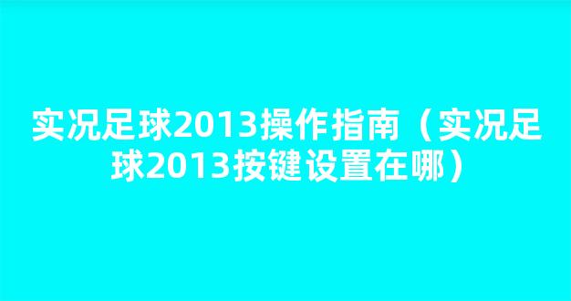 实况足球2013操作指南（实况足球2013按键设置在哪）