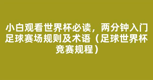 小白观看世界杯必读，两分钟入门足球赛场规则及术语（足球世界杯竞赛规程）