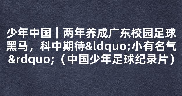 少年中国｜两年养成广东校园足球黑马，科中期待“小有名气”（中国少年足球纪录片）
