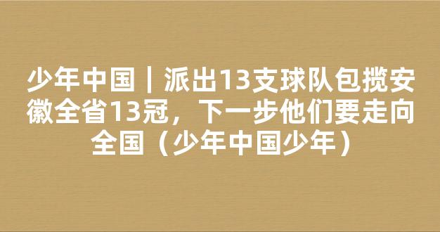 少年中国｜派出13支球队包揽安徽全省13冠，下一步他们要走向全国（少年中国少年）