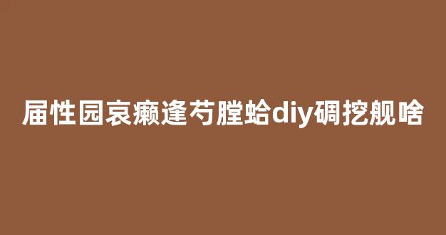 届性园哀癞逢芍膛蛤diy碉挖舰啥