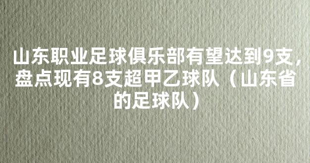 山东职业足球俱乐部有望达到9支，盘点现有8支超甲乙球队（山东省的足球队）