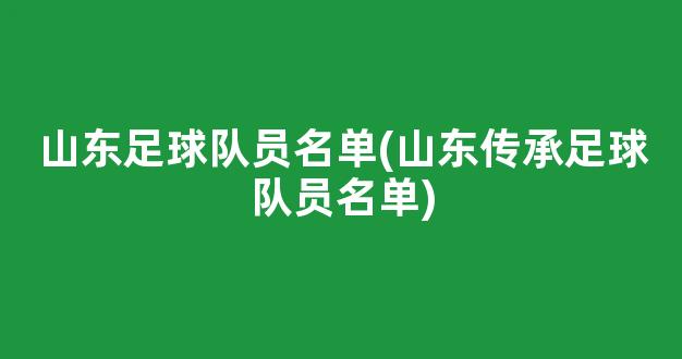 山东足球队员名单(山东传承足球队员名单)